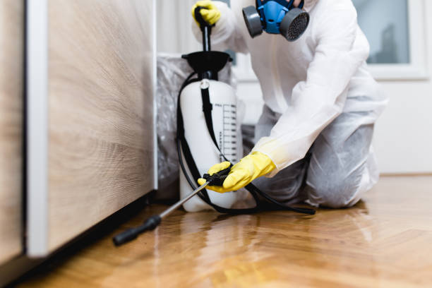 Best Exterminator Services  in Boley, OK