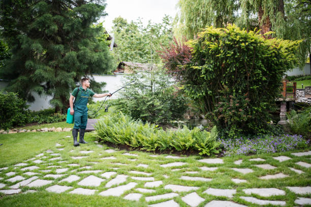 Best Ant Control Services  in Boley, OK