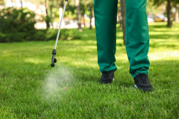 Best Pest Prevention Services  in Boley, OK