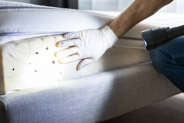 Best Wildlife Control Services  in Boley, OK