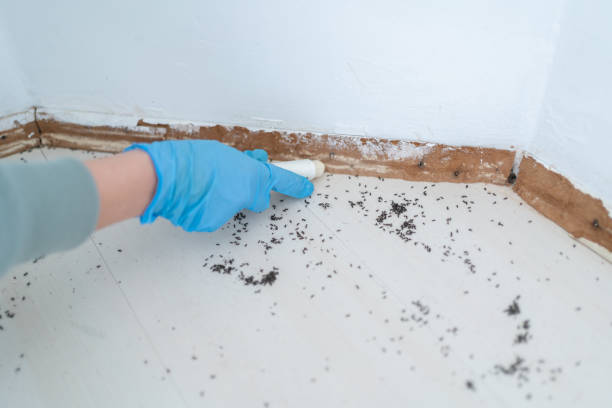 Best Emergency Pest Control  in Boley, OK