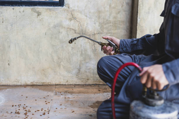 Best Affordable Pest Control Services  in Boley, OK